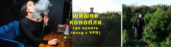 прущая мука Рославль