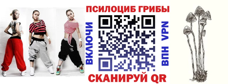 Псилоцибиновые грибы Psilocybe  Дно 