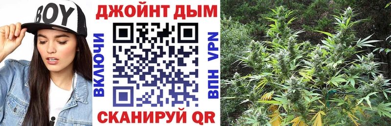 Каннабис конопля Дно